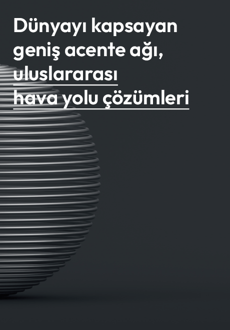 Anasayfa